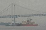 Dcim2260/DSC_8265