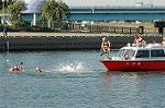 Dcim2266/DSC_0386