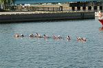 Dcim2266/DSC_0393