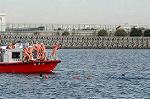 Dcim2267/DSC_8415