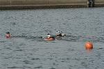 Dcim2267/DSC_8466