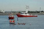 Dcim2268/DSC_8570