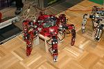Dcim2302/DSC_2931