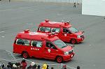 Dcim2318/DSC_4551