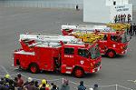 Dcim2318/DSC_4557