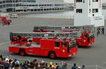 Dcim2318/DSC_4580