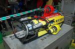 Dcim2320/DSC_4768