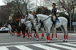 Dcim2327/DSC_5151