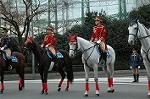 Dcim2327/DSC_5154