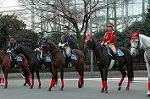 Dcim2327/DSC_5155