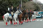 Dcim2327/DSC_5163