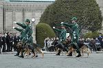 Dcim2327/DSC_5215