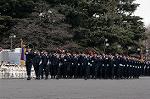 Dcim2329/DSC_0041