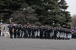 Dcim2329/DSC_0044