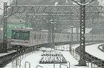Dcim2360/DSC_8245