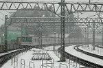 Dcim2360/DSC_8246