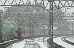 Dcim2360/DSC_8263
