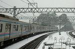Dcim2361/DSC_8321