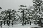 Dcim2361/DSC_8404