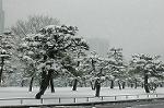Dcim2361/DSC_8414