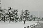 Dcim2361/DSC_8424