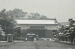 Dcim2361/DSC_8432