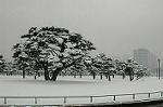 Dcim2361/DSC_8434