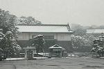 Dcim2361/DSC_8437