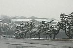 Dcim2361/DSC_8439