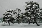 Dcim2362/DSC_8449