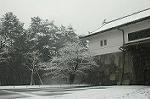 Dcim2362/DSC_8556
