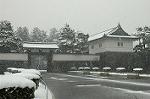 Dcim2362/DSC_8561