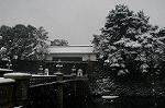 Dcim2365/DSC_0458