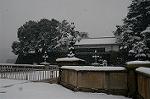 Dcim2365/DSC_0463