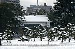 Dcim2369/DSC_0605