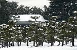 Dcim2369/DSC_0624