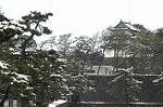 Dcim2369/DSC_0629