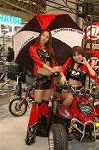 Dcim2376/DSC_9915