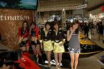Dcim2380/DSC_0212