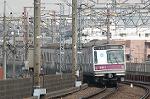Dcim2391/DSC_0761
