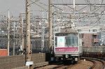 Dcim2391/DSC_0773