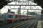 Dcim2393/DSC_1519
