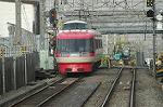Dcim2394/DSC_0815