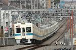 Dcim2394/DSC_0823