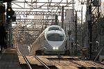 Dcim2399/DSC_1433