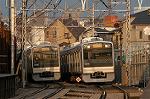 Dcim2399/DSC_1441
