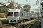 Dcim2409/DSC_2524