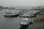 Dcim2416/DSC_2969