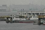 Dcim2418/DSC_3216