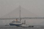 Dcim2419/DSC_1862